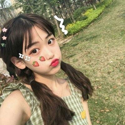 胭脂虎新传